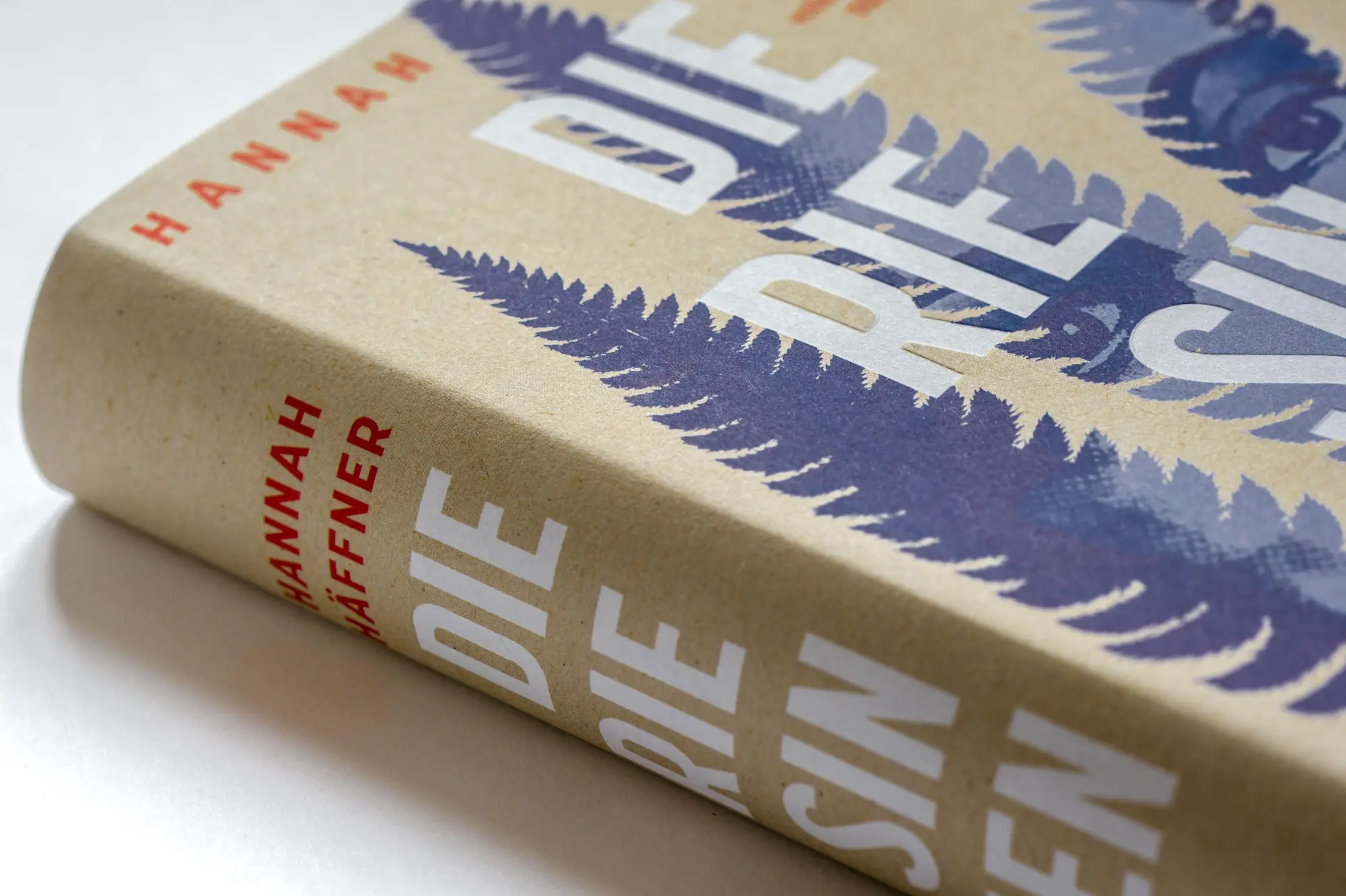 Bild: 9783328604334 | Die Riesinnen | Hannah Häffner | Buch | 416 S. | Deutsch | 2026
