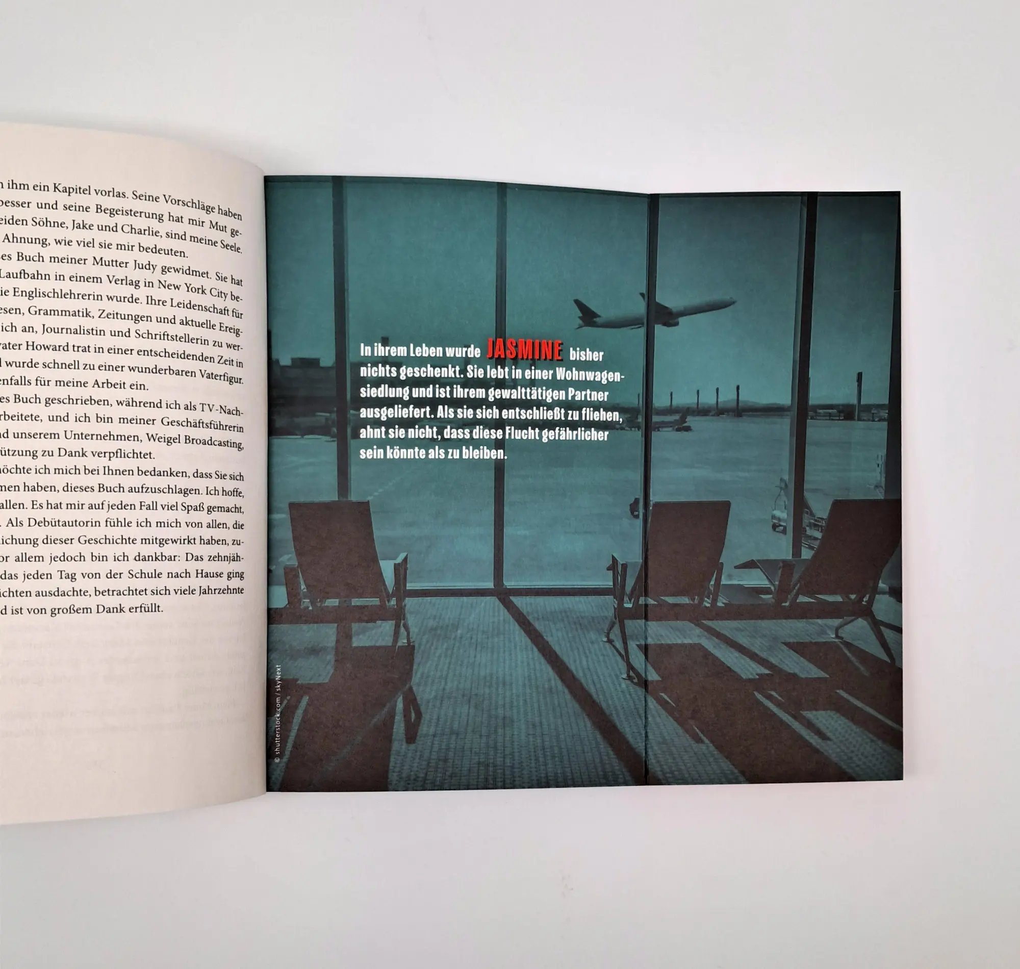 Bild: 9783423264334 | The Business Trip | Jessie Garcia | Taschenbuch | 384 S. | Deutsch