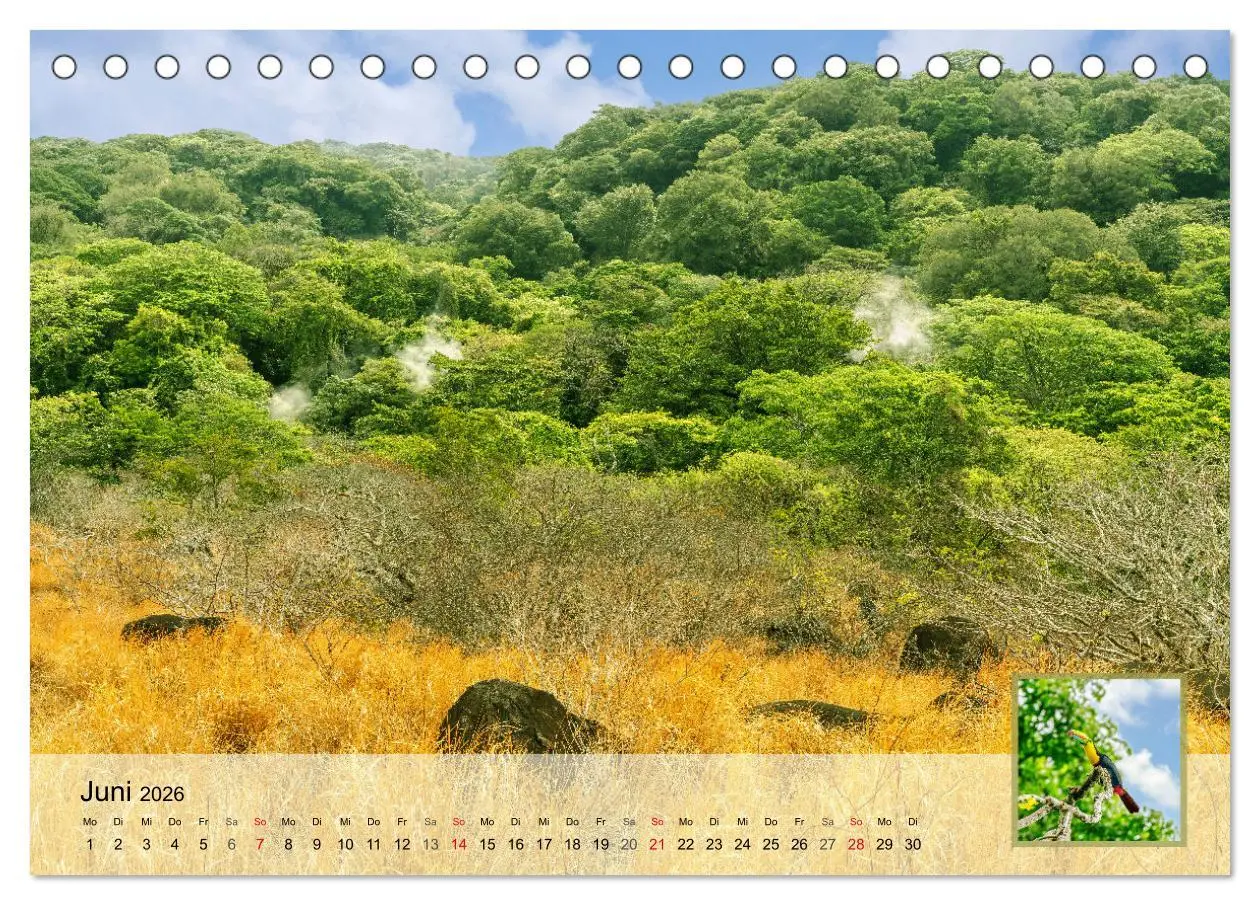 Bild: 9783457304334 | Costa Rica Dreams Tropische Naturwunder (Tischkalender 2026 DIN A5...