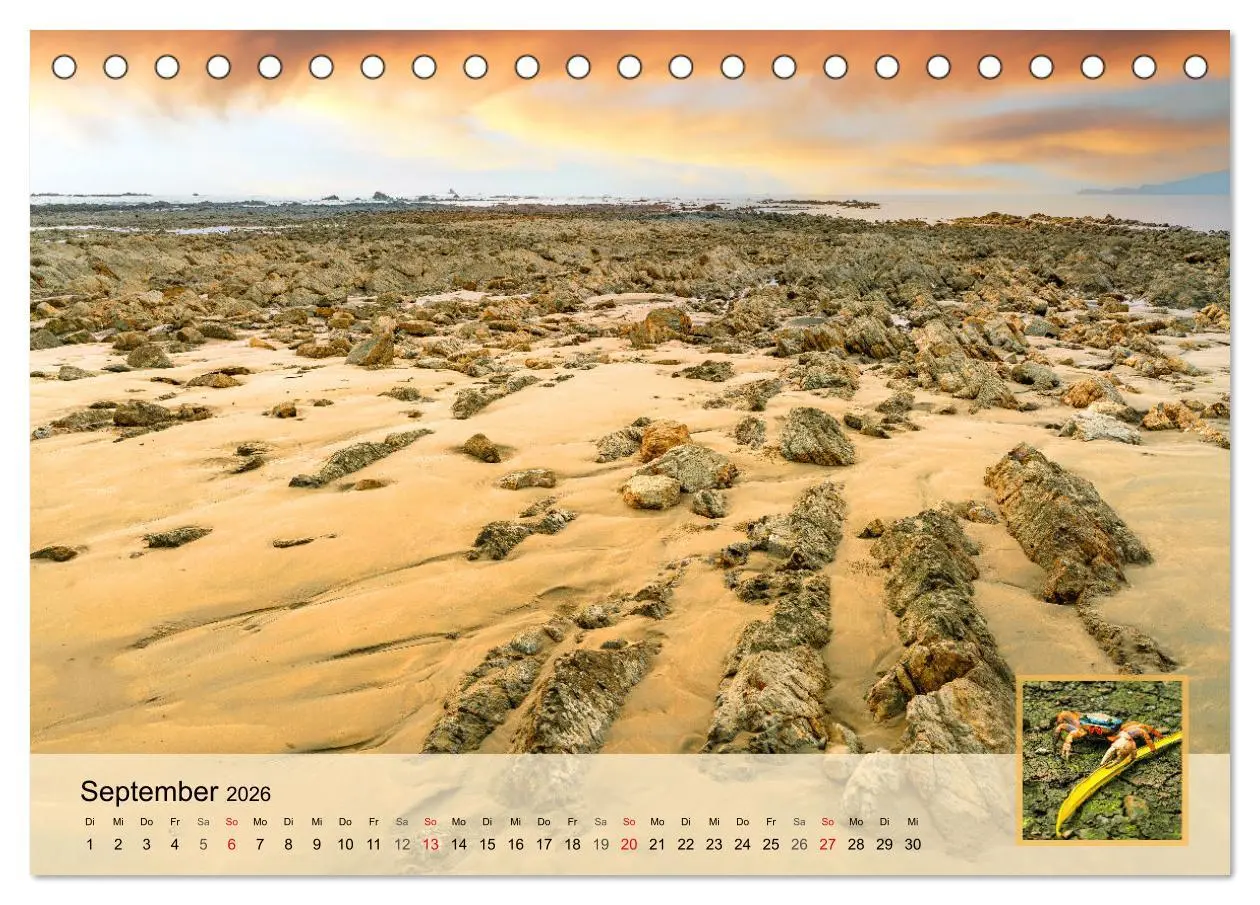 Bild: 9783457304334 | Costa Rica Dreams Tropische Naturwunder (Tischkalender 2026 DIN A5...