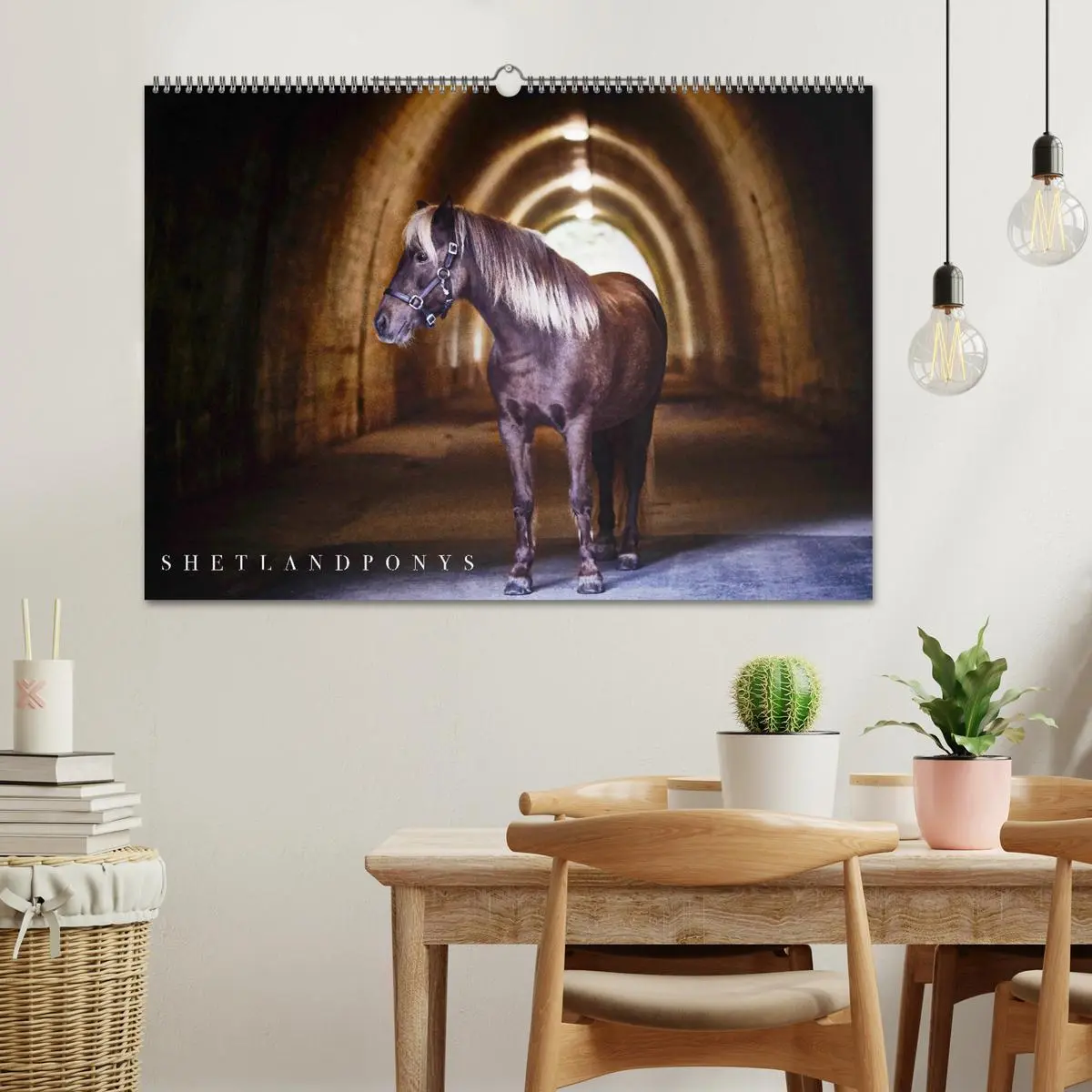 Bild: 9783457924334 | Shetlandpony Kalender (Wandkalender 2026 DIN A2 quer), CALVENDO...