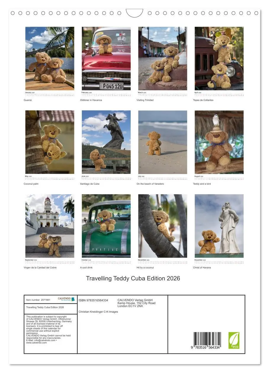Bild: 9783516564334 | Travelling Teddy Cuba Edition 2026 (Wall Calendar 2026 DIN A3...