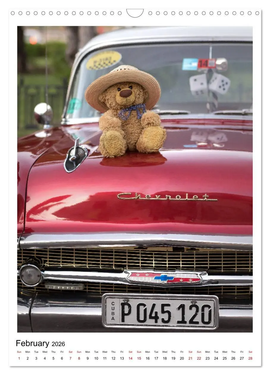 Bild: 9783516564334 | Travelling Teddy Cuba Edition 2026 (Wall Calendar 2026 DIN A3...