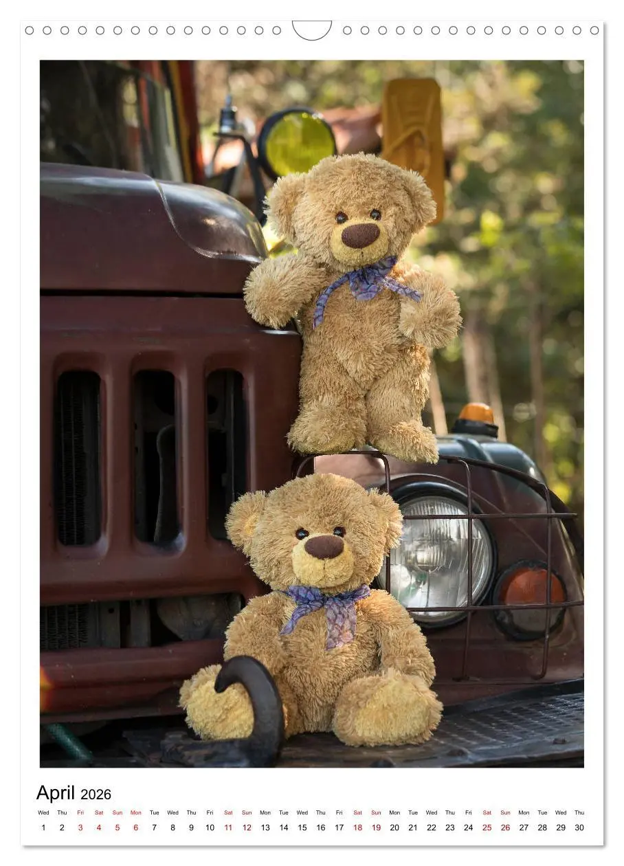 Bild: 9783516564334 | Travelling Teddy Cuba Edition 2026 (Wall Calendar 2026 DIN A3...