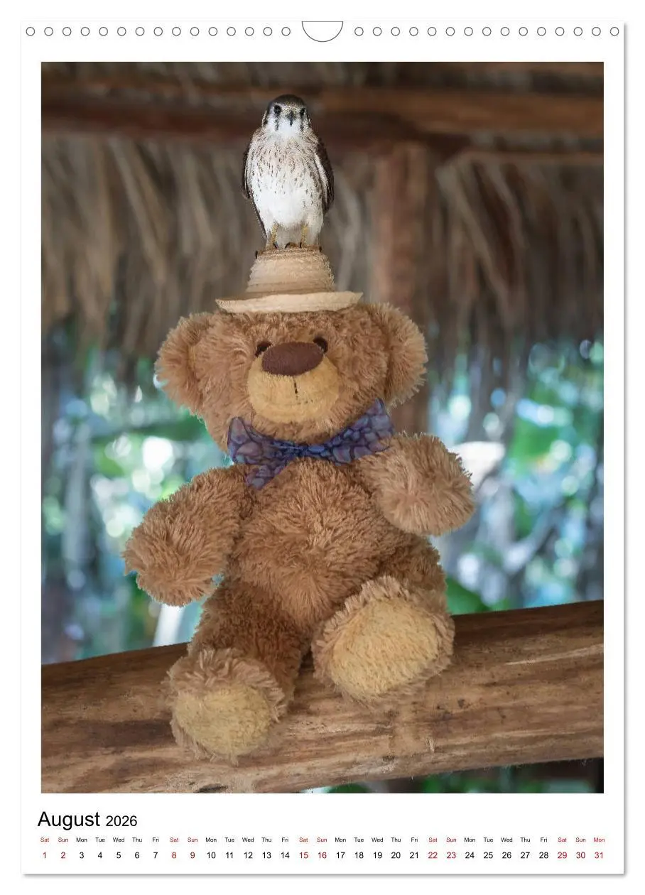 Bild: 9783516564334 | Travelling Teddy Cuba Edition 2026 (Wall Calendar 2026 DIN A3...
