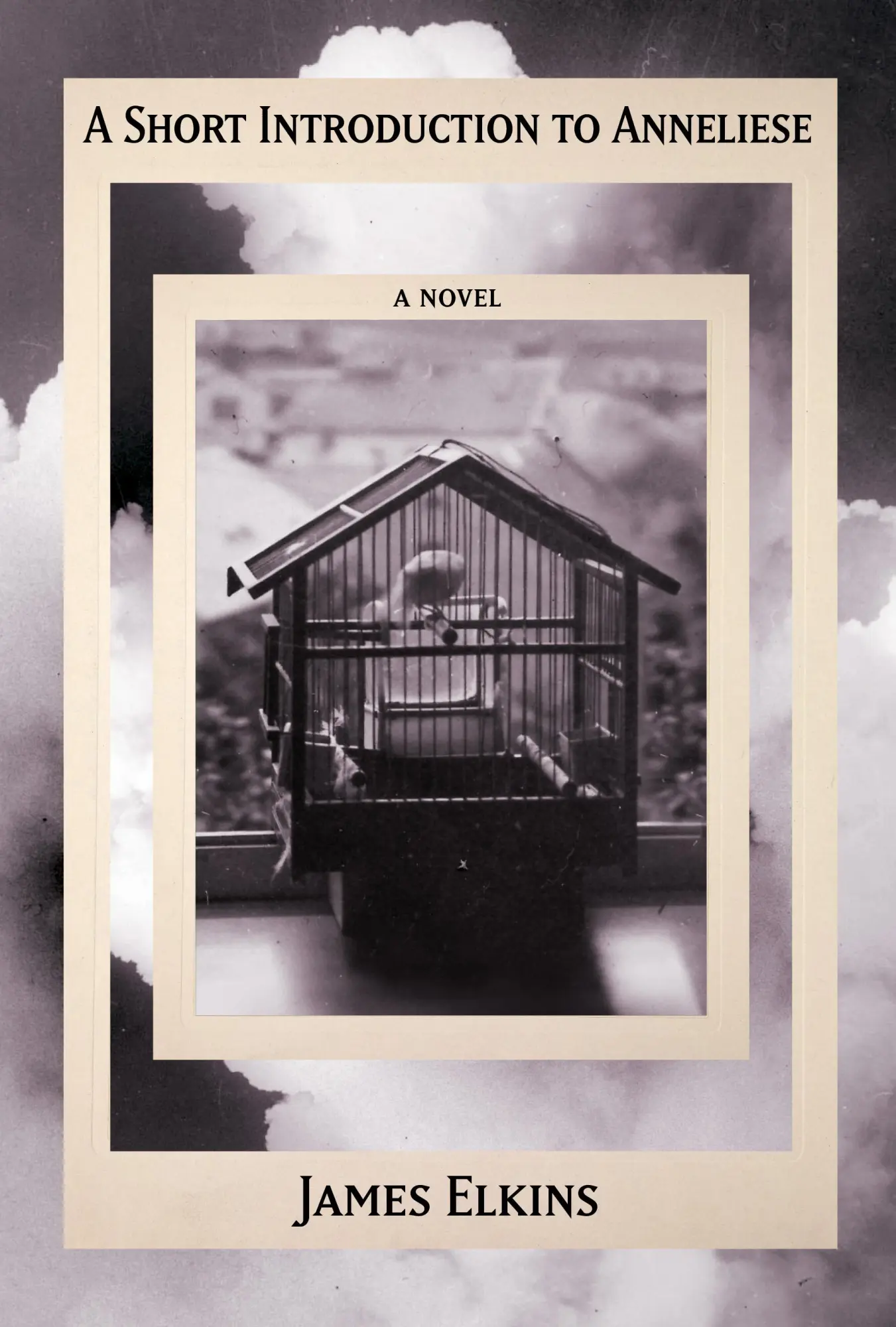 Cover: 9781961884434 | A Short Introduction to Anneliese | James Elkins | Buch | Englisch