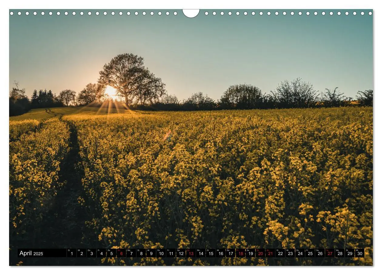Bild: 9783435134434 | Das Münsterland - Meine Impressionen (Wandkalender 2025 DIN A3...