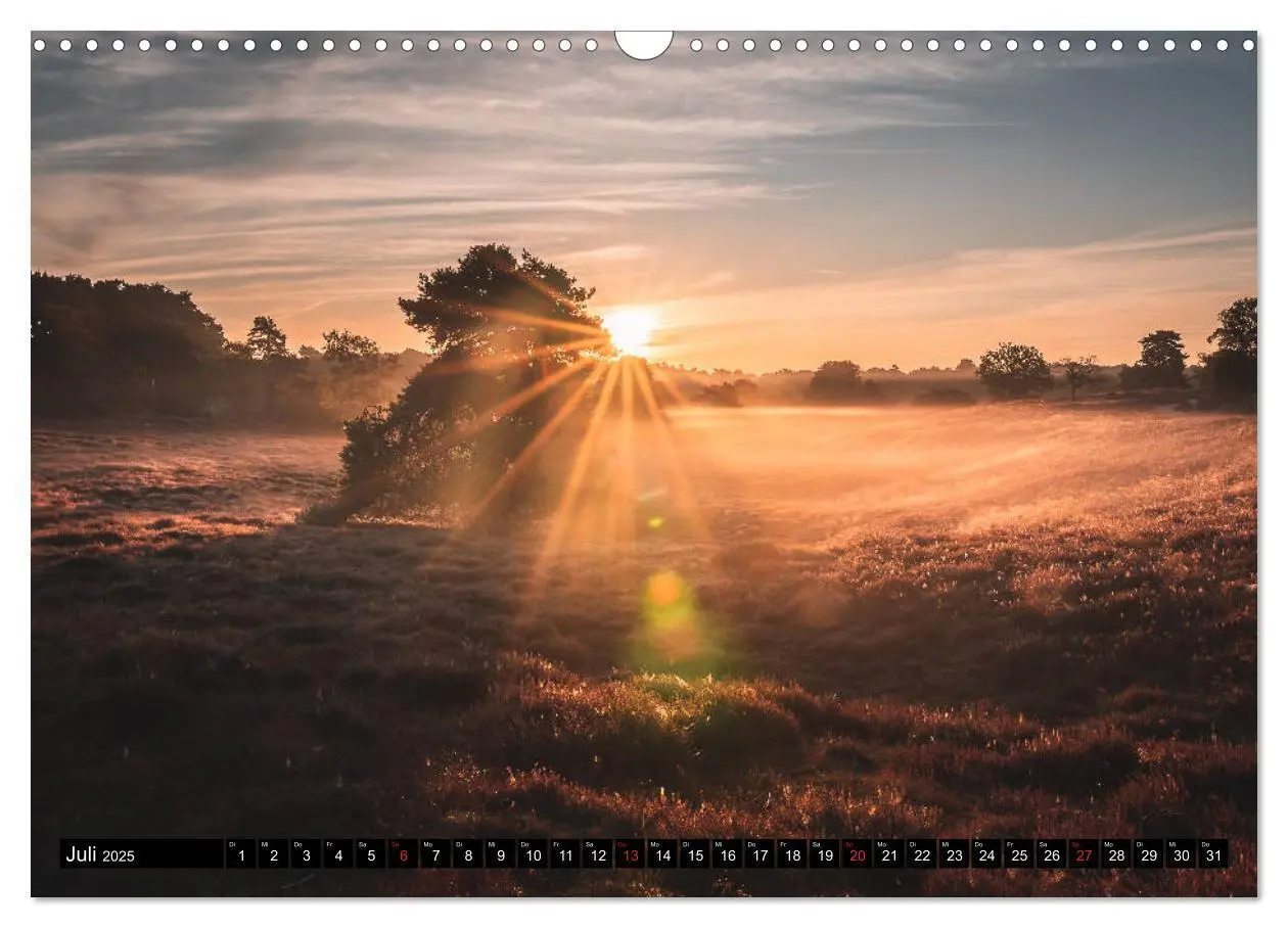 Bild: 9783435134434 | Das Münsterland - Meine Impressionen (Wandkalender 2025 DIN A3...