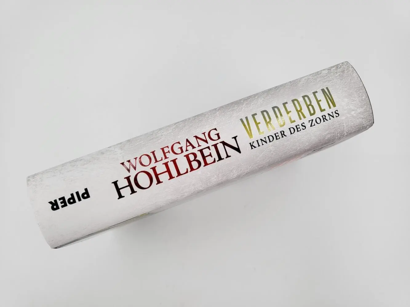 Bild: 9783492704434 | Verderben - Kinder des Zorns | Wolfgang Hohlbein | Buch | 640 S.