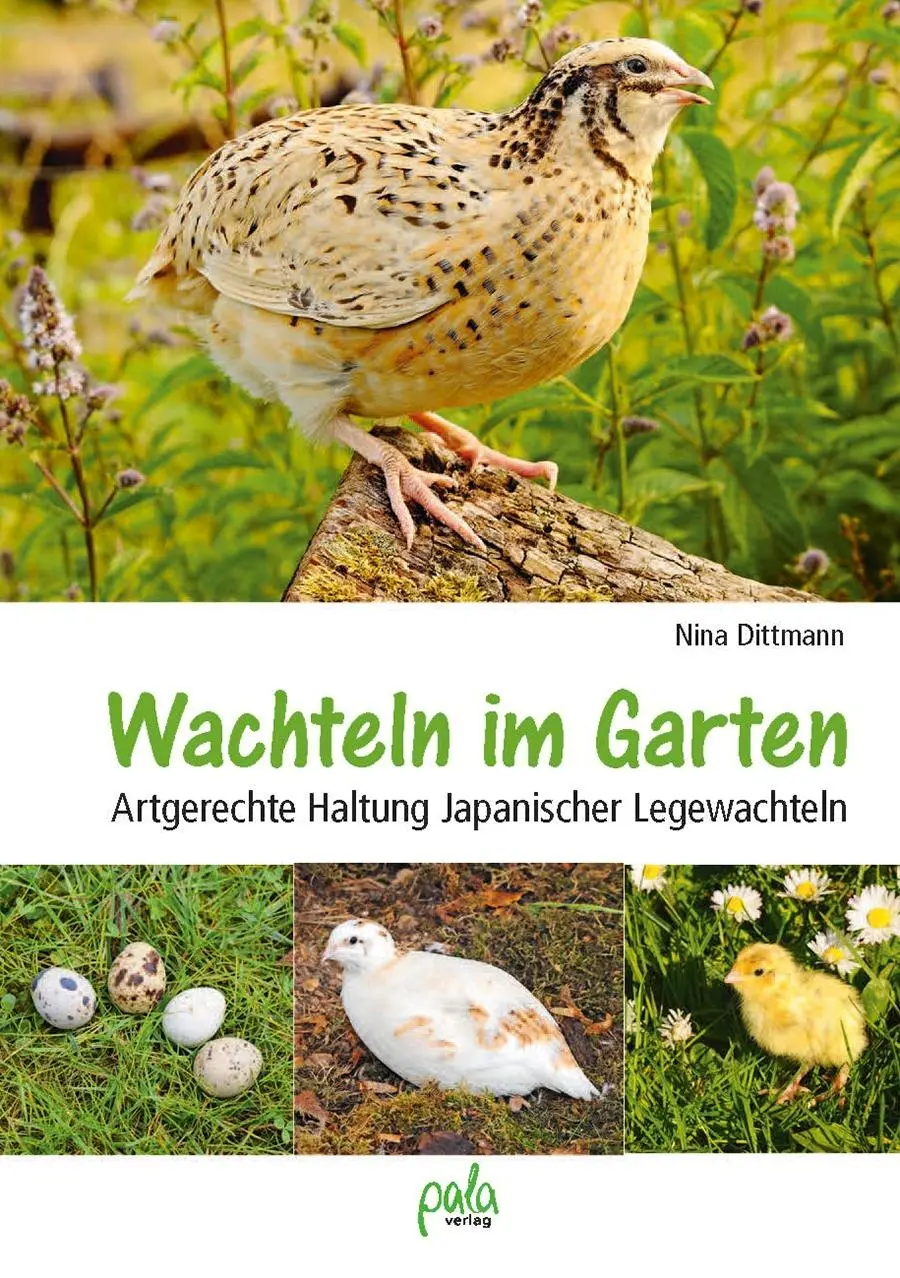 Cover: 9783895664434 | Wachteln im Garten | Artgerechte Haltung Japanischer Legewachteln