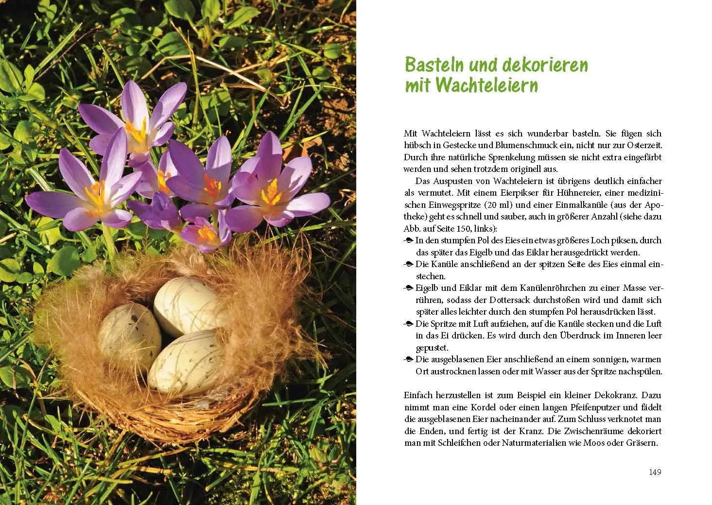 Bild: 9783895664434 | Wachteln im Garten | Artgerechte Haltung Japanischer Legewachteln