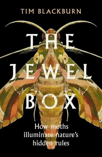 Cover: 9781474624534 | The Jewel Box | How Moths Illuminate Nature's Hidden Rules | Blackburn