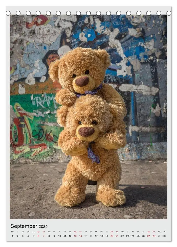Bild: 9783435984534 | Travelling Teddy in Europa (Tischkalender 2025 DIN A5 hoch),...