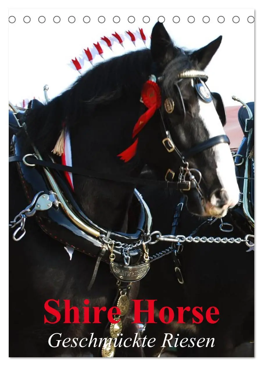 Cover: 9783516474534 | Shire Horse - Geschmückte Riesen (Tischkalender 2026 DIN A5 hoch),...