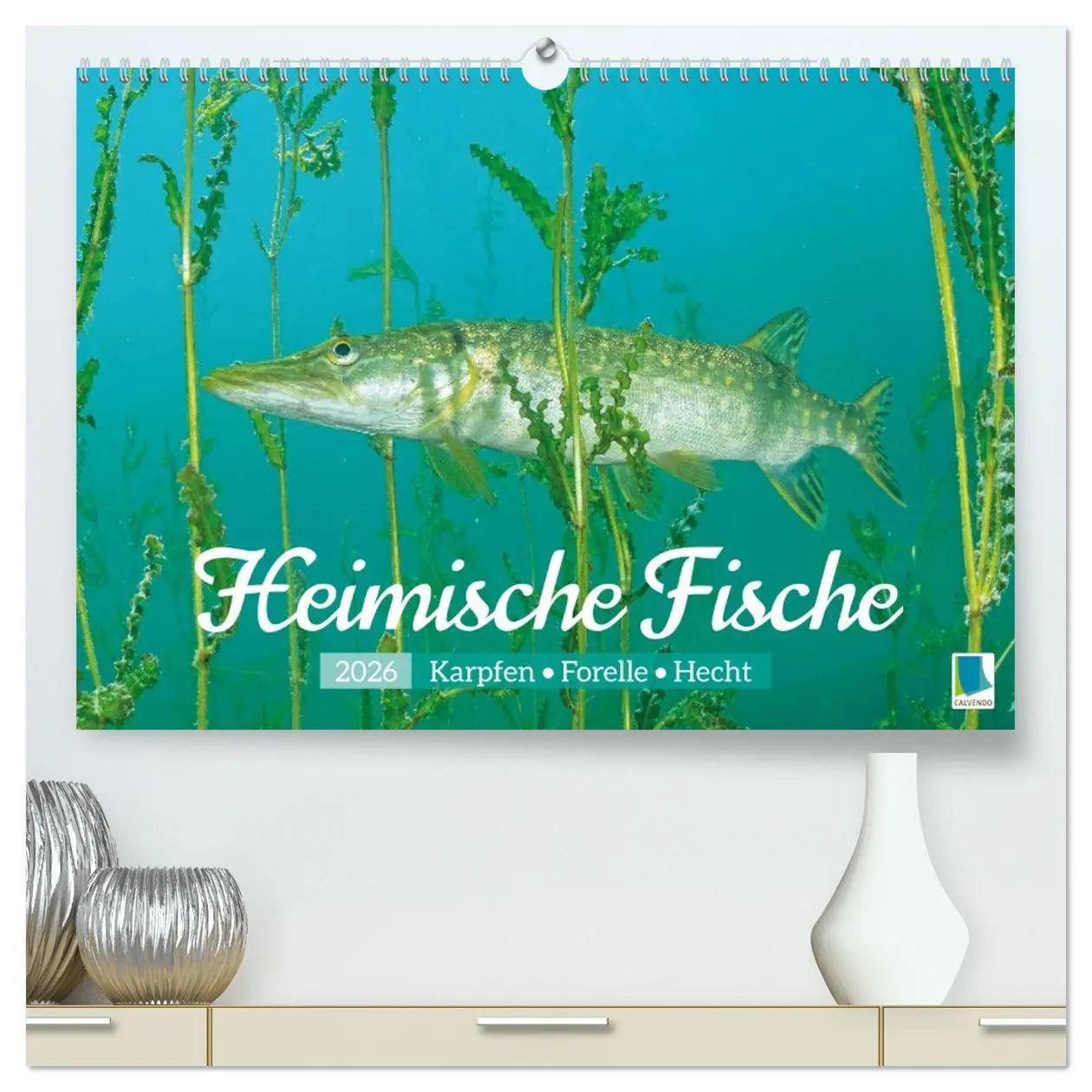 Cover: 9783516614534 | Heimische Fische: Karpfen, Forelle, Hecht (hochwertiger Premium...