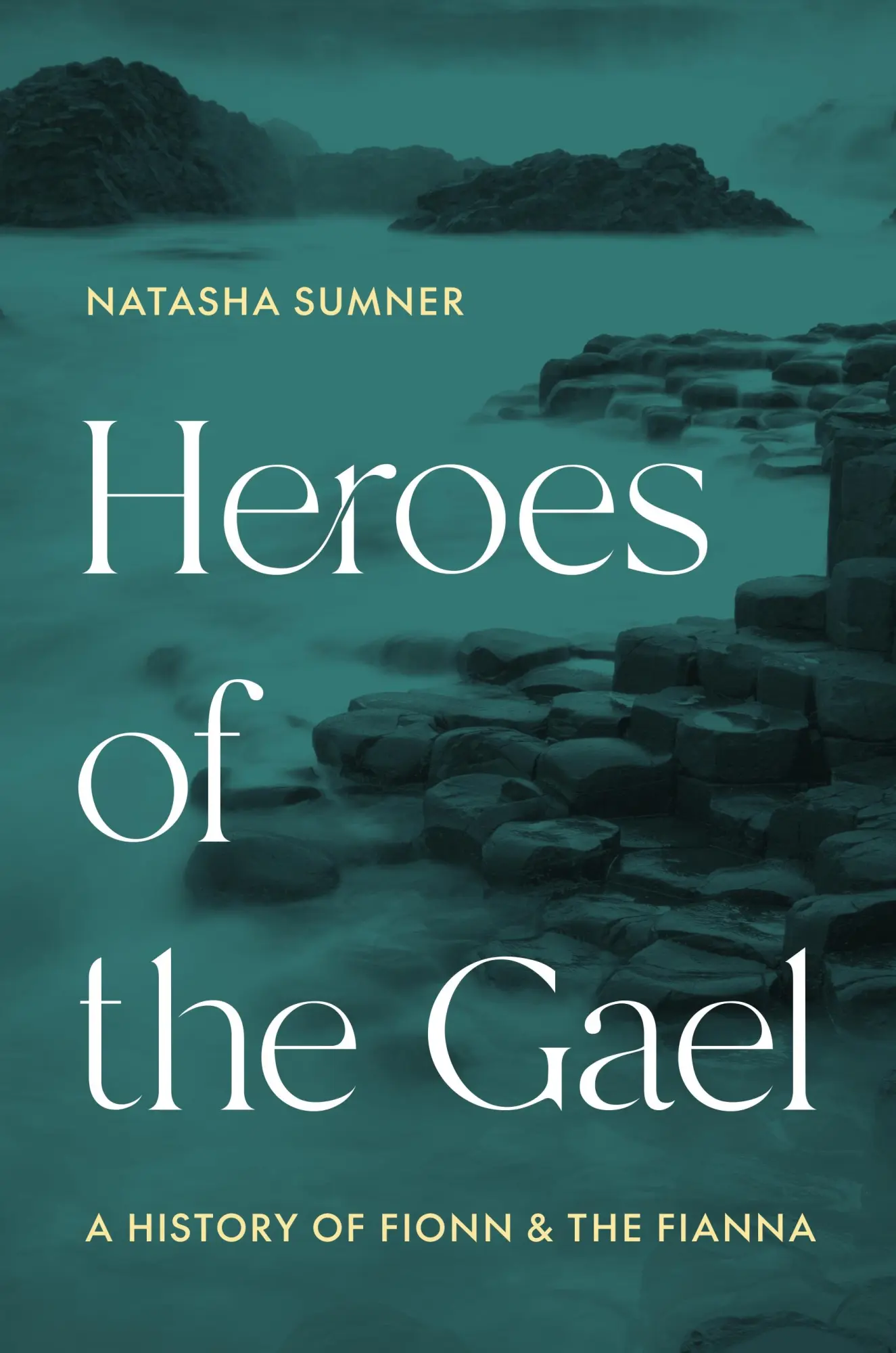 Cover: 9780691204734 | Heroes of the Gael - A History of Fionn and the Fianna | Sumner | Buch