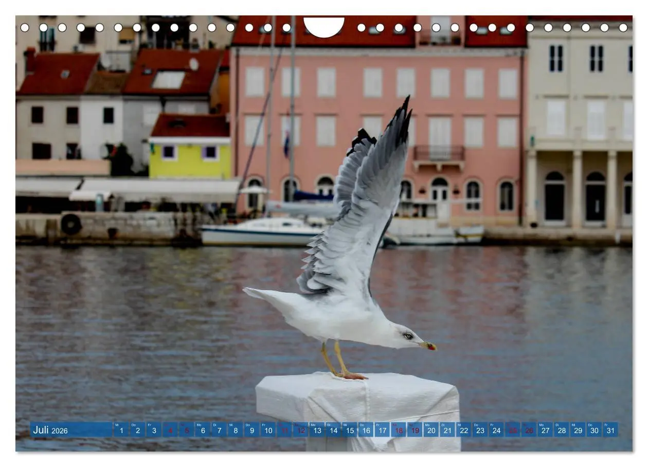 Bild: 9783457814734 | Inselwelt Cres &amp; Losinj (Wandkalender 2026 DIN A4 quer), CALVENDO...