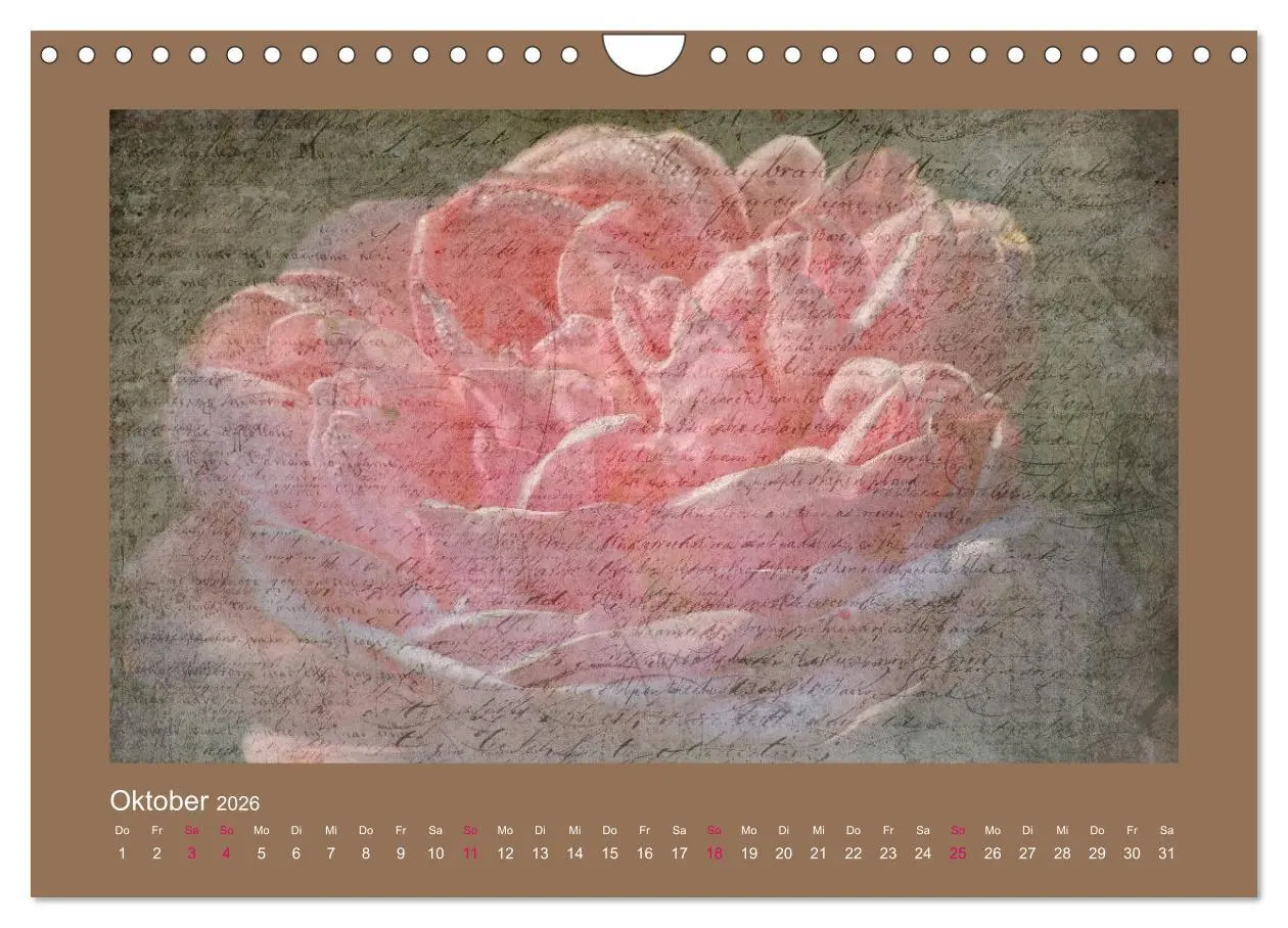 Bild: 9783516144734 | Romantische Rosen (Wandkalender 2026 DIN A4 quer), CALVENDO...