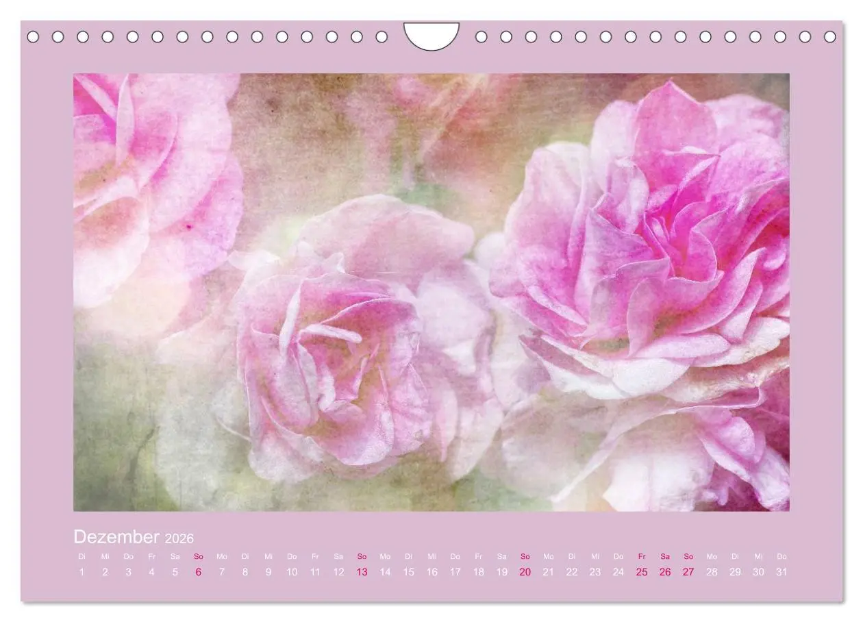 Bild: 9783516144734 | Romantische Rosen (Wandkalender 2026 DIN A4 quer), CALVENDO...