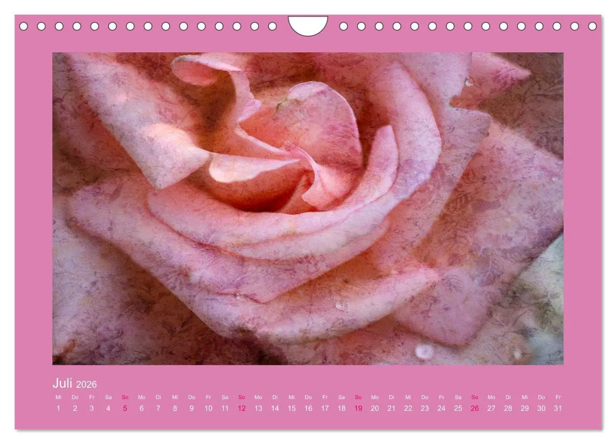 Bild: 9783516144734 | Romantische Rosen (Wandkalender 2026 DIN A4 quer), CALVENDO...