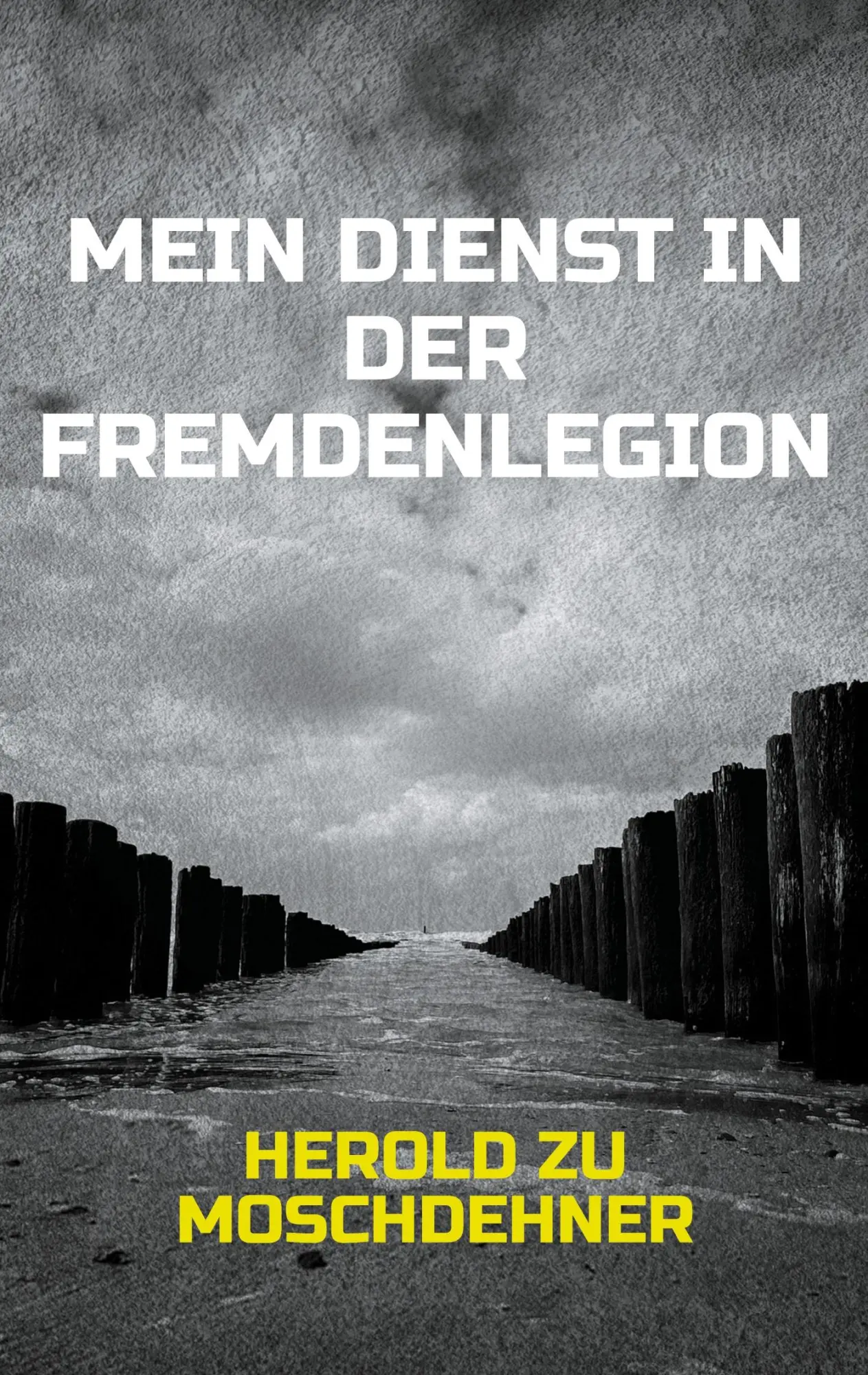 Cover: 9783695724734 | Mein Dienst in der Fremdenlegion | Somalia, Bosnien, Dschibuti, Kosovo