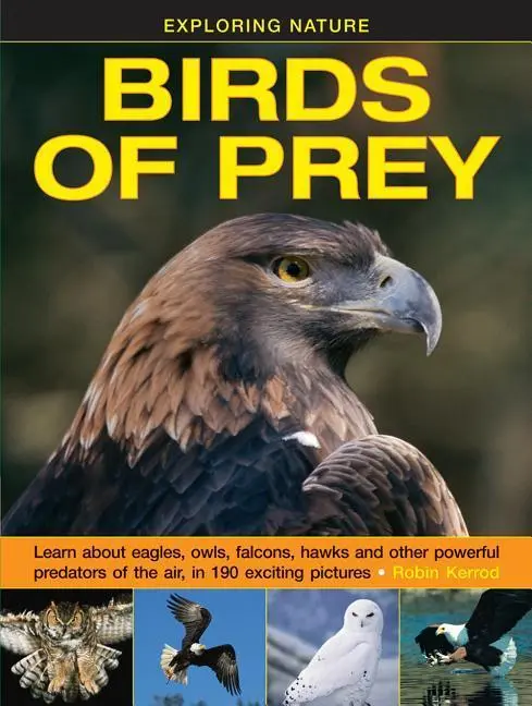 Cover: 9781861474834 | Exploring Nature: Birds of Prey: Learn about Eagles, Owls, Falcons,...