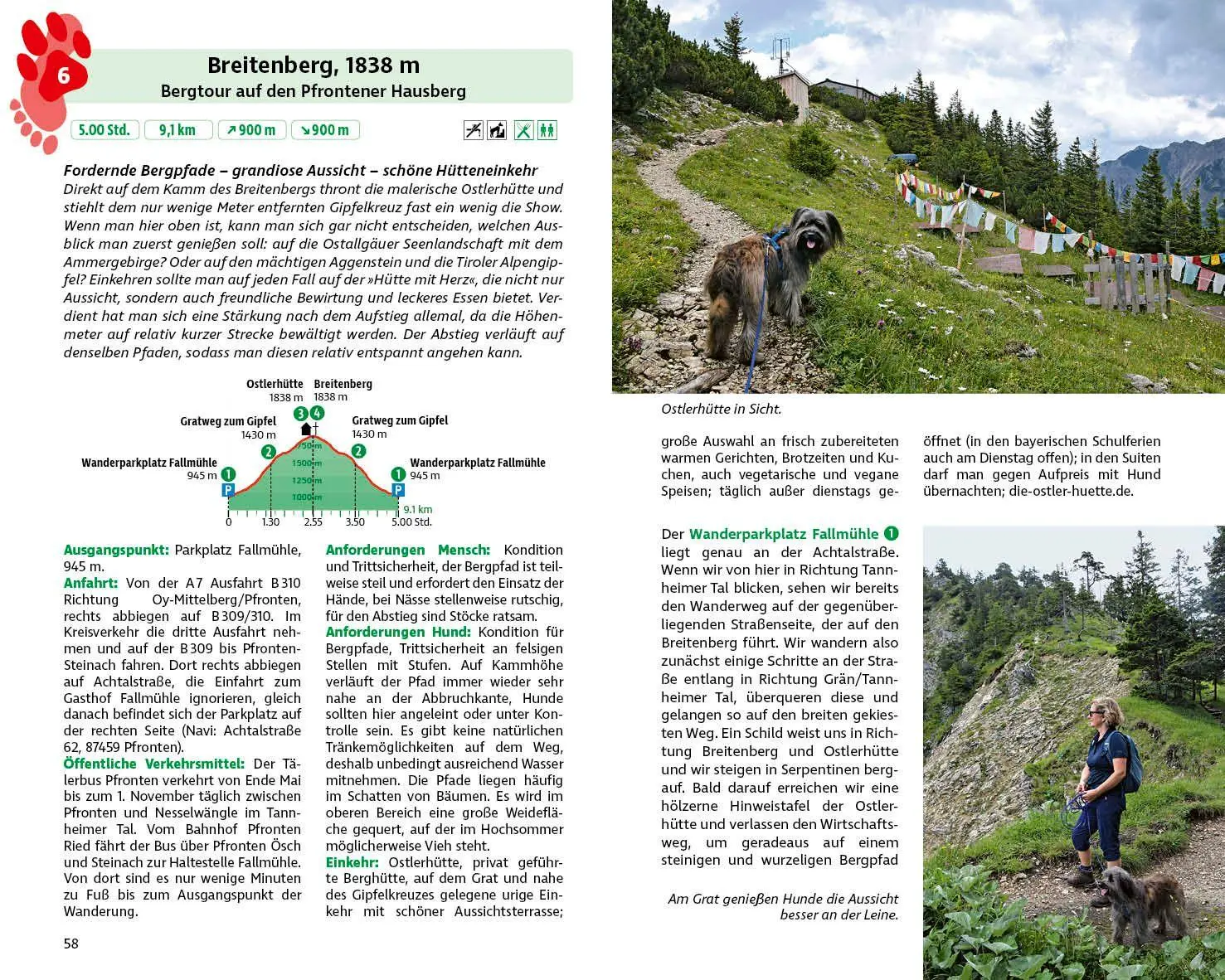 Bild: 9783763334834 | ROTHER Wanderbuch Wandern mit Hund Allgäu. mit Tannheimer Tal und...