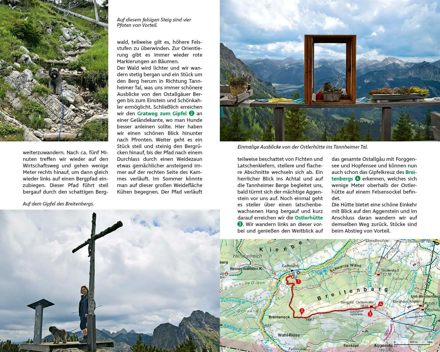 Bild: 9783763334834 | ROTHER Wanderbuch Wandern mit Hund Allgäu. mit Tannheimer Tal und...