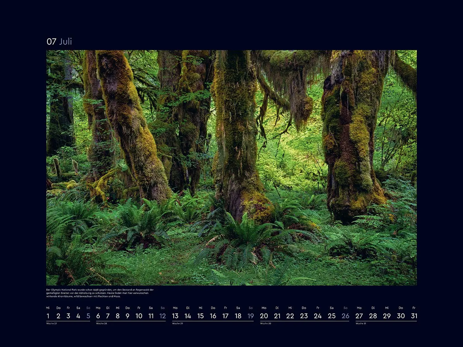 Bild: 9783965914834 | Farben der Erde - KUNTH Wandkalender 2026 | Kalender | 14 S. | Deutsch