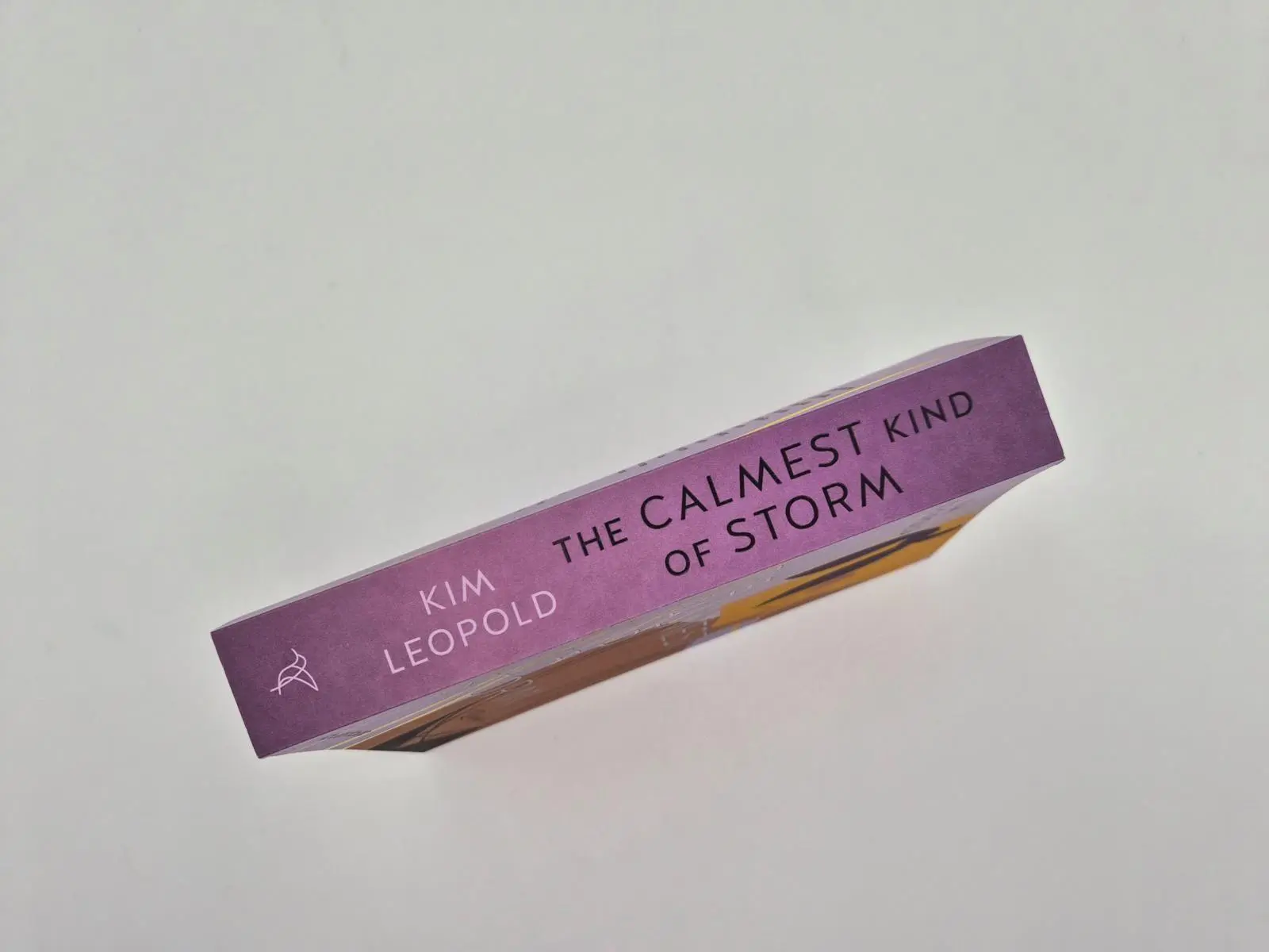 Bild: 9783492064934 | The Calmest Kind of Storm | Kim Leopold | Taschenbuch | 416 S. | 2026
