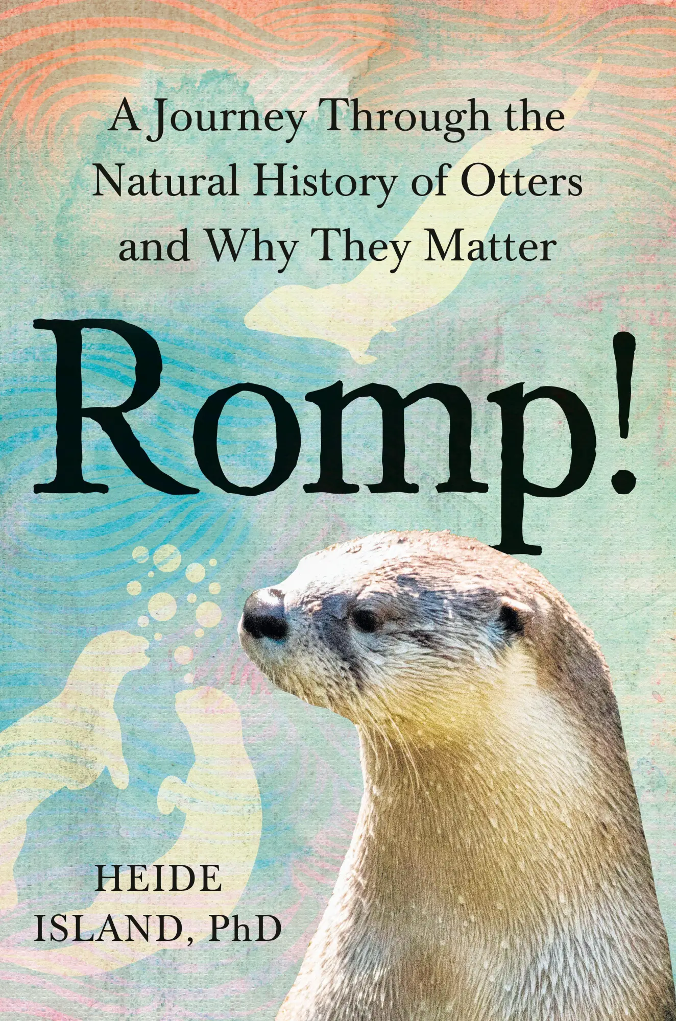 Cover: 9780593855034 | Romp! | Heide Island | Buch | Einband - fest (Hardcover) | Englisch