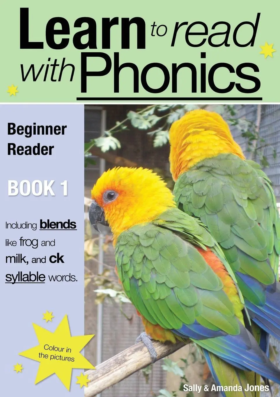 Cover: 9780956115034 | Learn To Read Rapidly With Phonics | Sally Jones (u. a.) | Taschenbuch