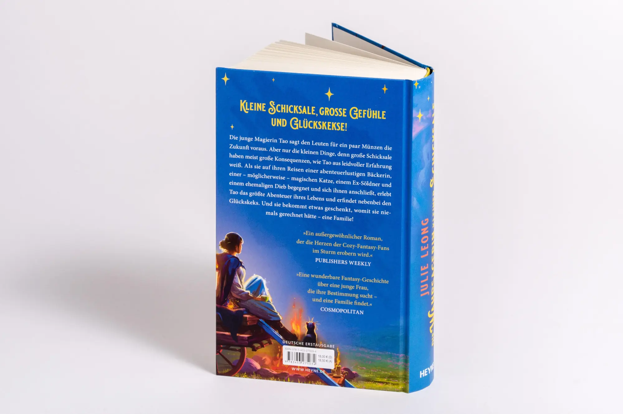 Bild: 9783453275034 | Die Wahrsagerin kleiner Schicksale | Roman | Julie Leong | Buch | 2025