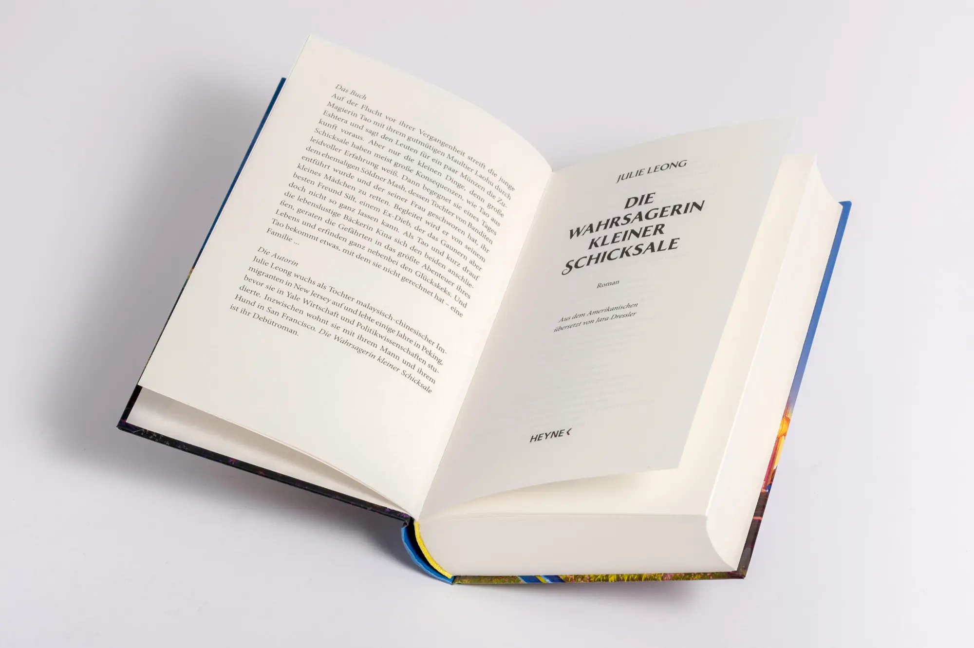 Bild: 9783453275034 | Die Wahrsagerin kleiner Schicksale | Roman | Julie Leong | Buch | 2025
