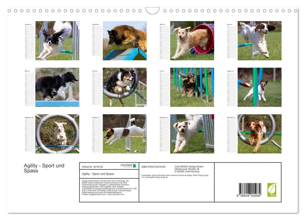 Bild: 9783516015034 | Agility - Sport und Spass (Wandkalender 2026 DIN A3 quer), CALVENDO...