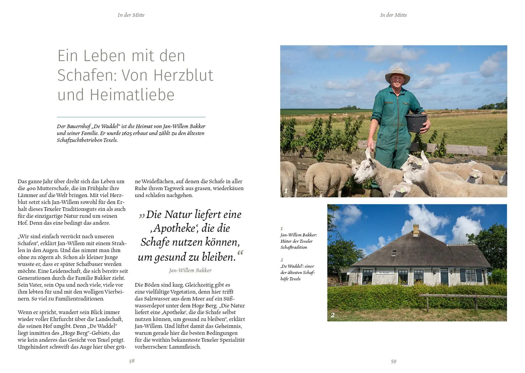 Bild: 9783968555034 | Texel - ReiseGenuss | Kulinarik, Menschen, Geschichten | Taschenbuch