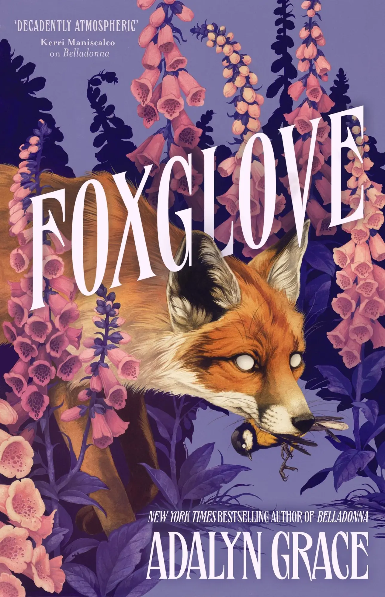 Cover: 9781399705134 | Foxglove | Adalyn Grace | Buch | Belladonna | Gebunden | Englisch
