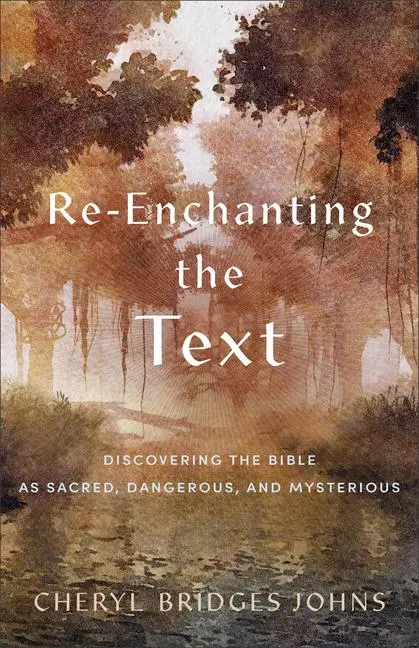 Cover: 9781540965134 | Re-Enchanting the Text | Cheryl Bridges Johns | Taschenbuch | Englisch