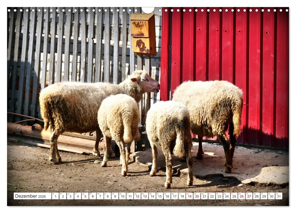 Bild: 9783457605134 | Dorfidylle - Landleben in Russland (Wandkalender 2026 DIN A3 quer),...