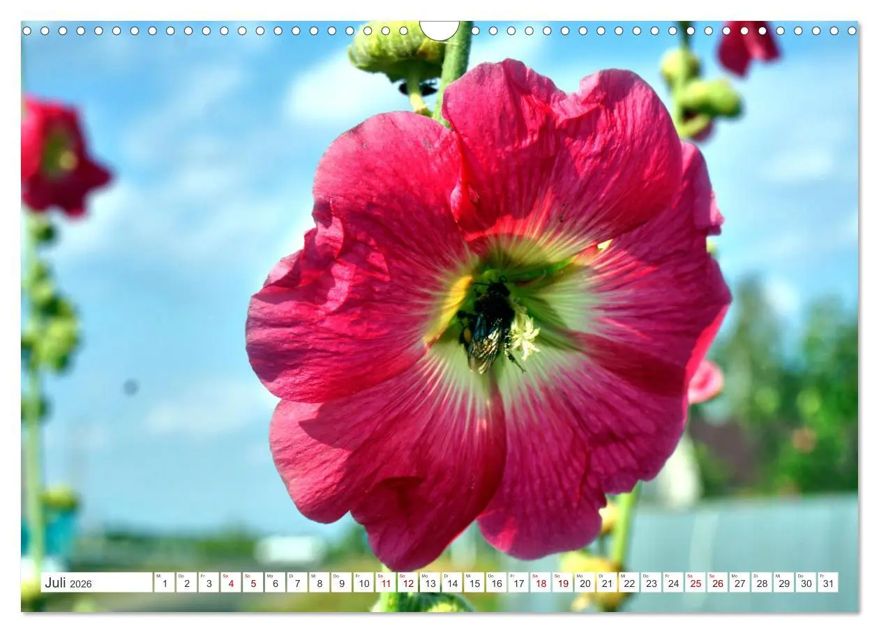 Bild: 9783457605134 | Dorfidylle - Landleben in Russland (Wandkalender 2026 DIN A3 quer),...