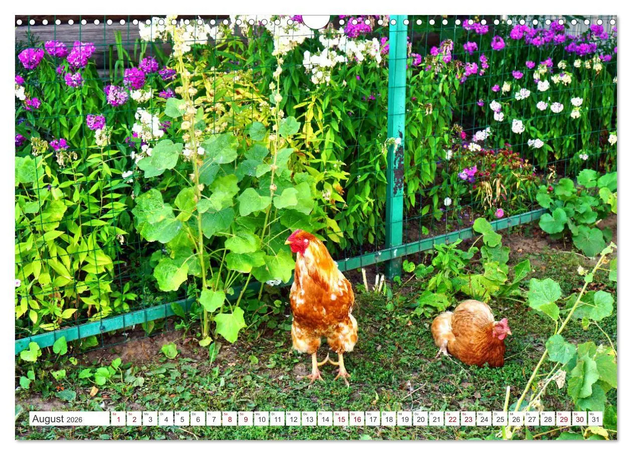 Bild: 9783457605134 | Dorfidylle - Landleben in Russland (Wandkalender 2026 DIN A3 quer),...