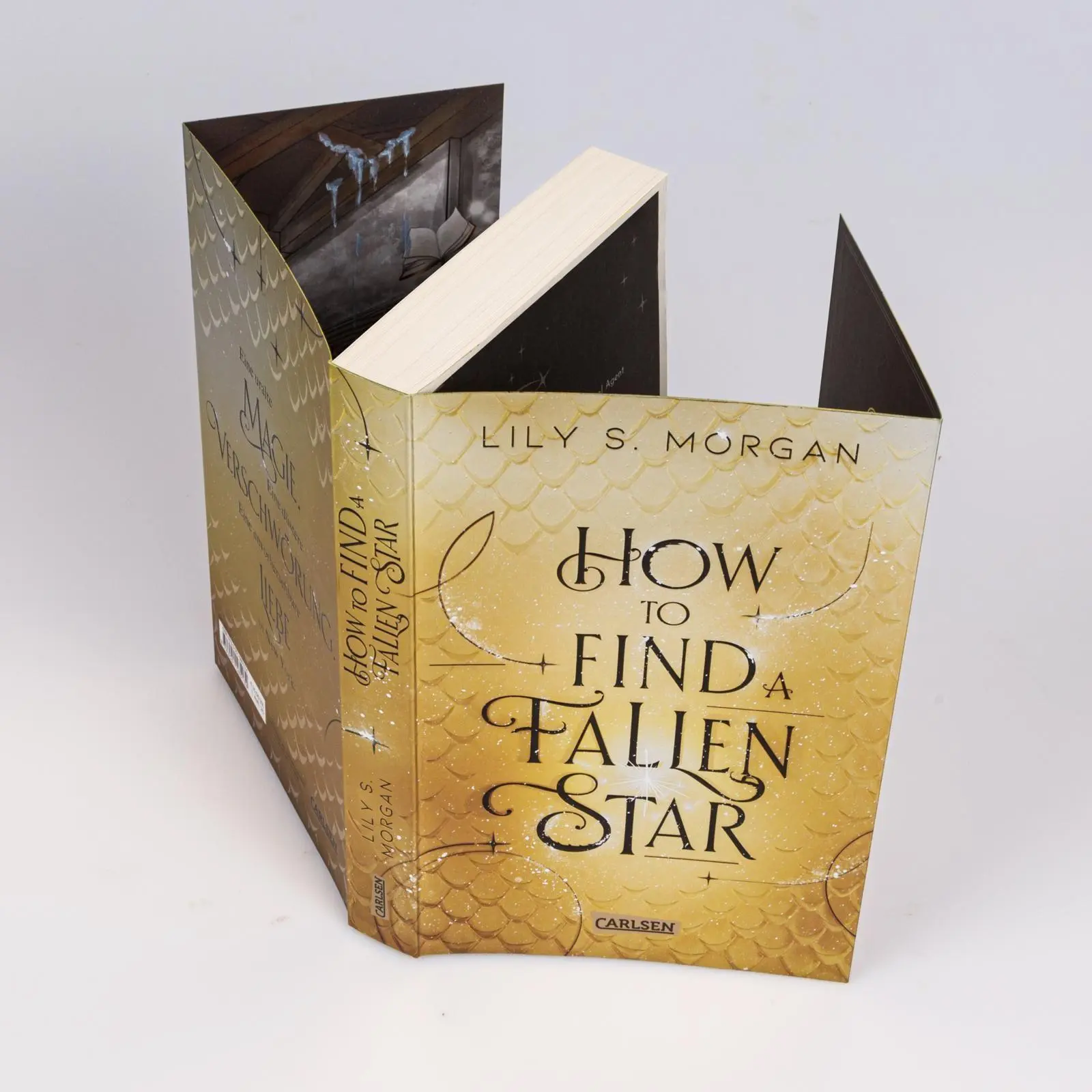 Bild: 9783551585134 | How To Find A Fallen Star (New York Magics 2) | Lily S. Morgan | Buch