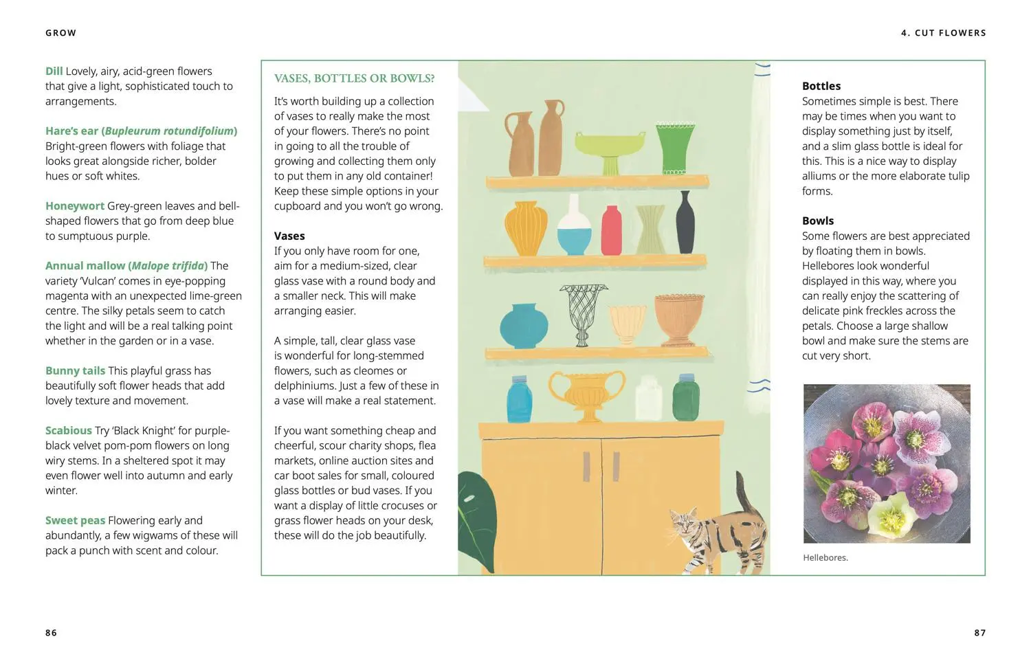 Bild: 9780008595234 | GROW | Fill Your World with Plants | National Trust Books (u. a.)