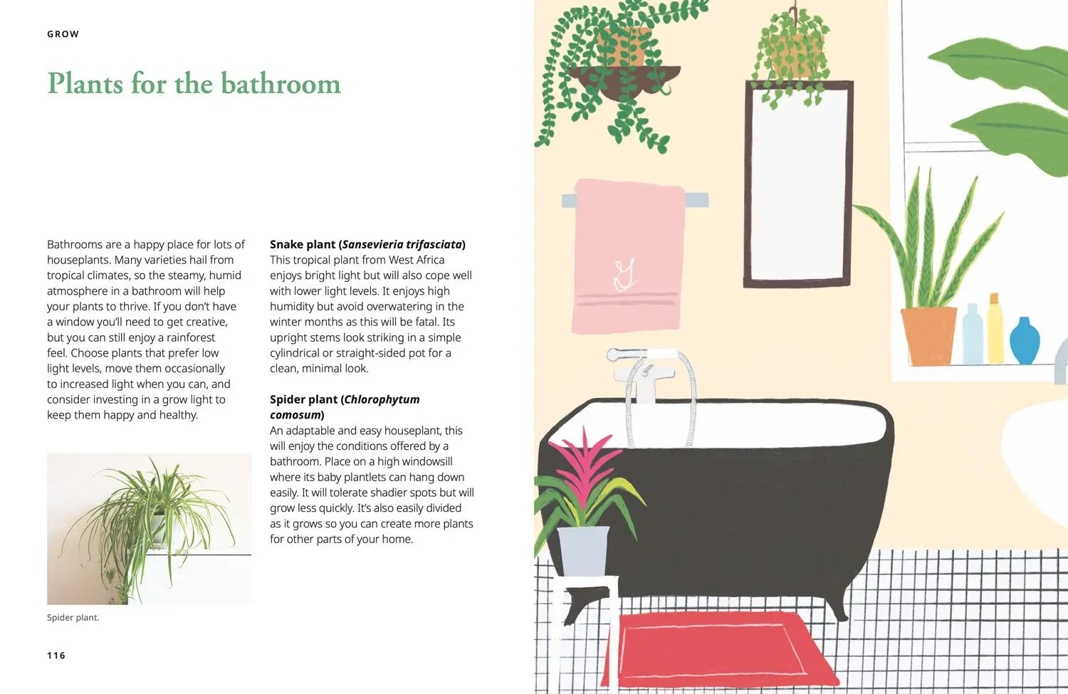 Bild: 9780008595234 | GROW | Fill Your World with Plants | National Trust Books (u. a.)