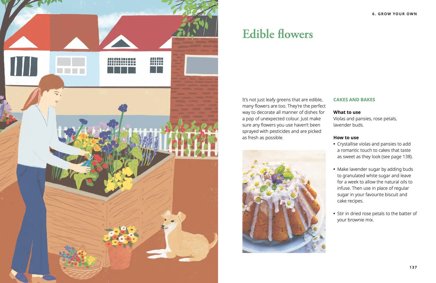 Bild: 9780008595234 | GROW | Fill Your World with Plants | National Trust Books (u. a.)