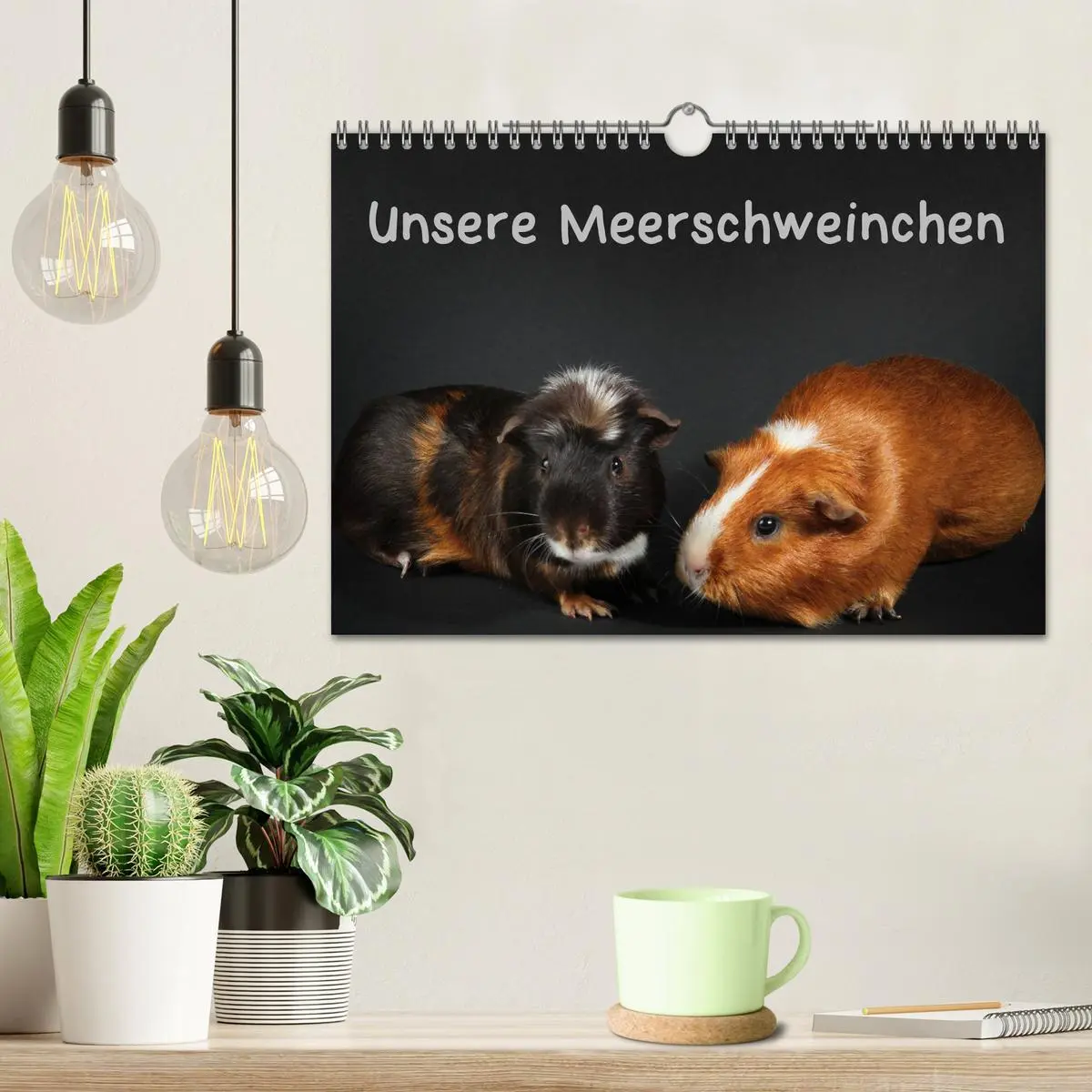 Bild: 9783457905234 | Unsere Meerschweinchen (Wandkalender 2026 DIN A4 quer), CALVENDO...
