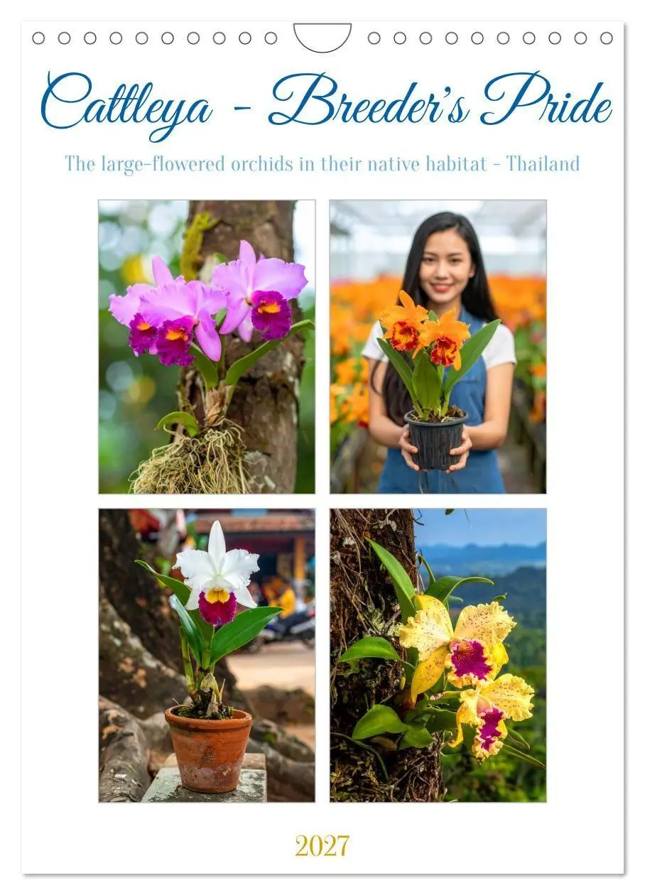 Cattleya - Breeder's Pride (Wall Calendar 2027 DIN A4 portrait), CALVENDO 12 Month Wall Calendar