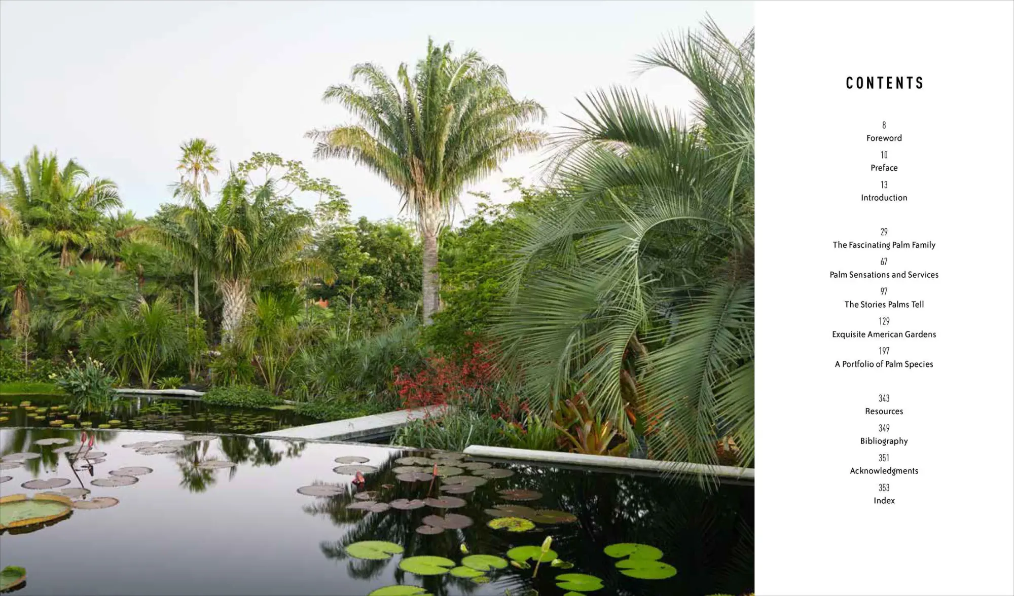 Bild: 9781604695434 | Designing with Palms | Jason Dewees | Buch | Gebunden | Englisch