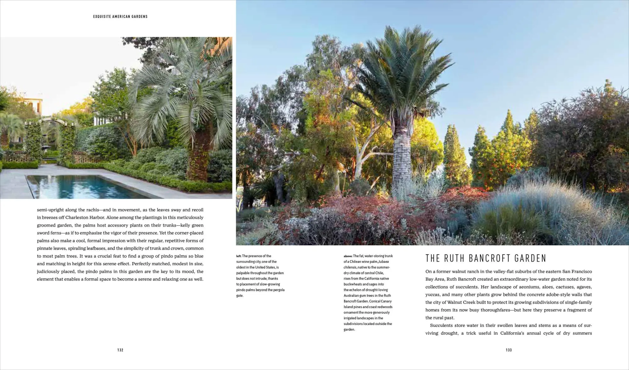 Bild: 9781604695434 | Designing with Palms | Jason Dewees | Buch | Gebunden | Englisch