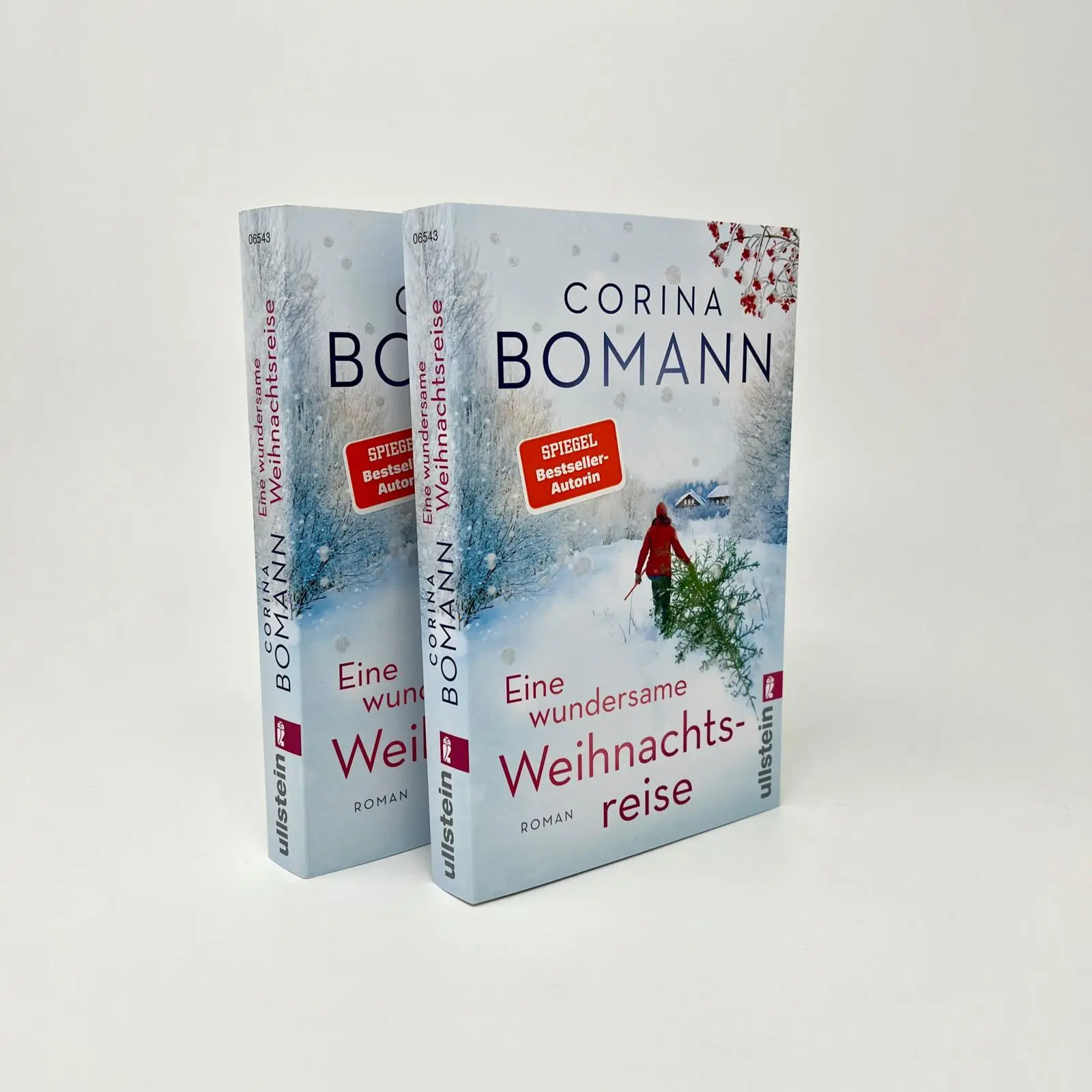 Bild: 9783548065434 | Eine wundersame Weihnachtsreise | Corina Bomann | Taschenbuch | 240 S.
